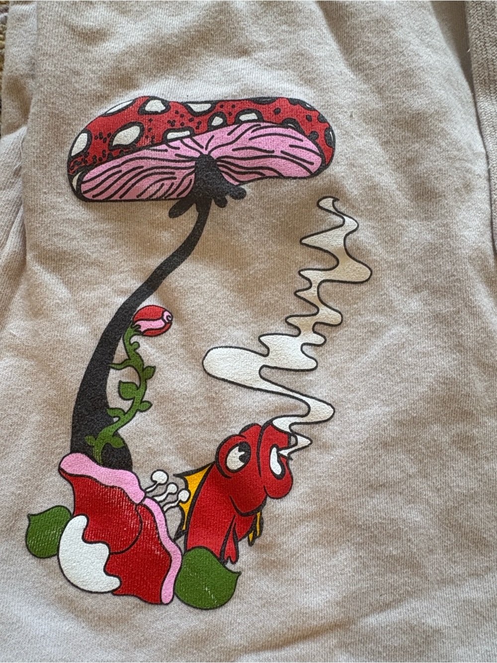 ALAB- “ENJOY THE TRIP” Cream Graphic Frog & Mushroom Drawstring Shorts - Picture 4 of 6